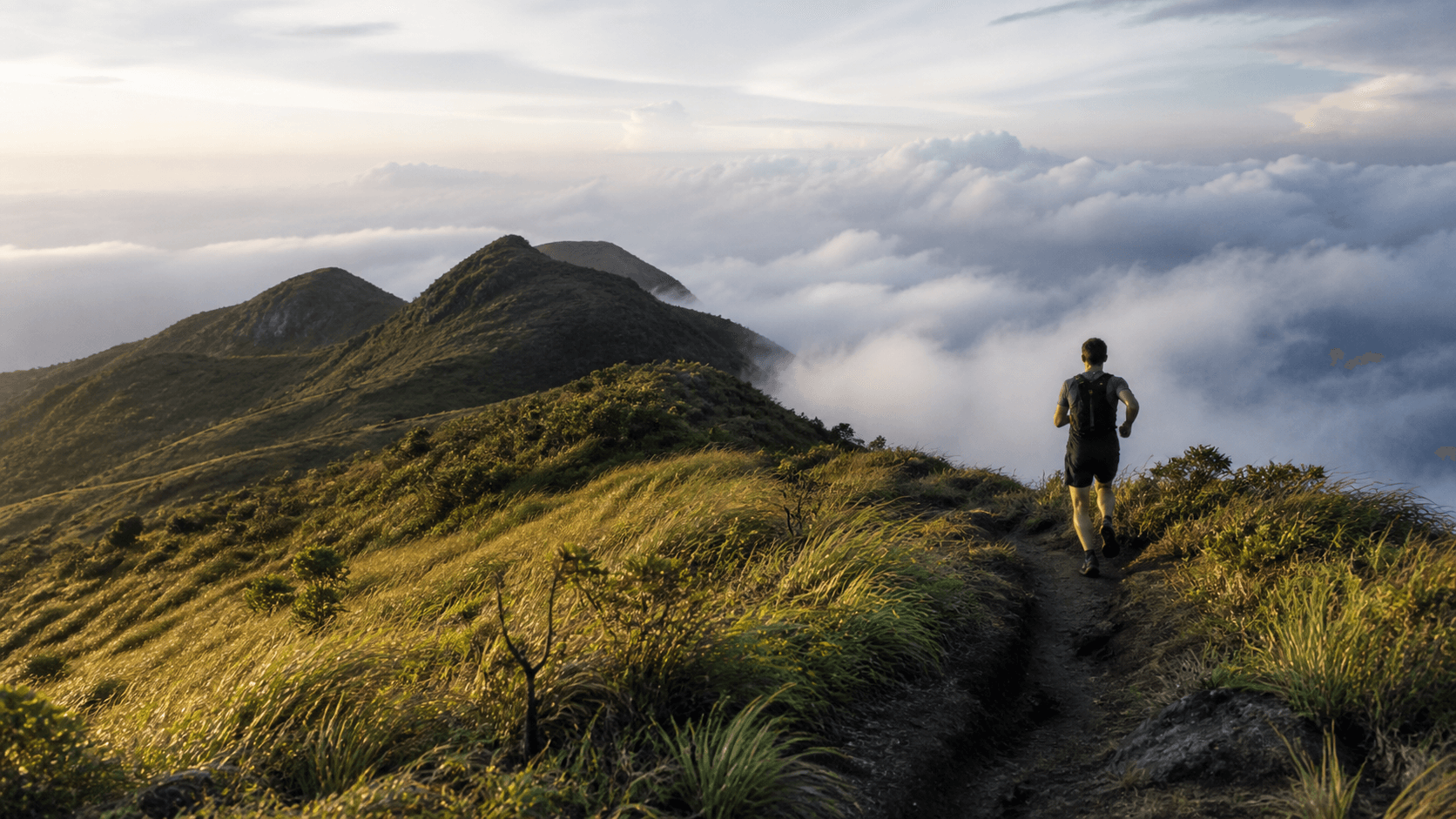 A walker on a ridge trail in the Knuckles range with cloud lying below the path
